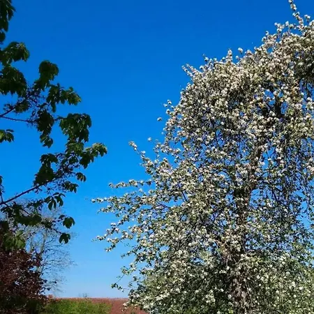 Appartamento Frignano Frignano